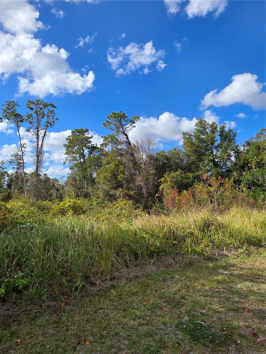 DELTONA LAKE UN 11 - Land