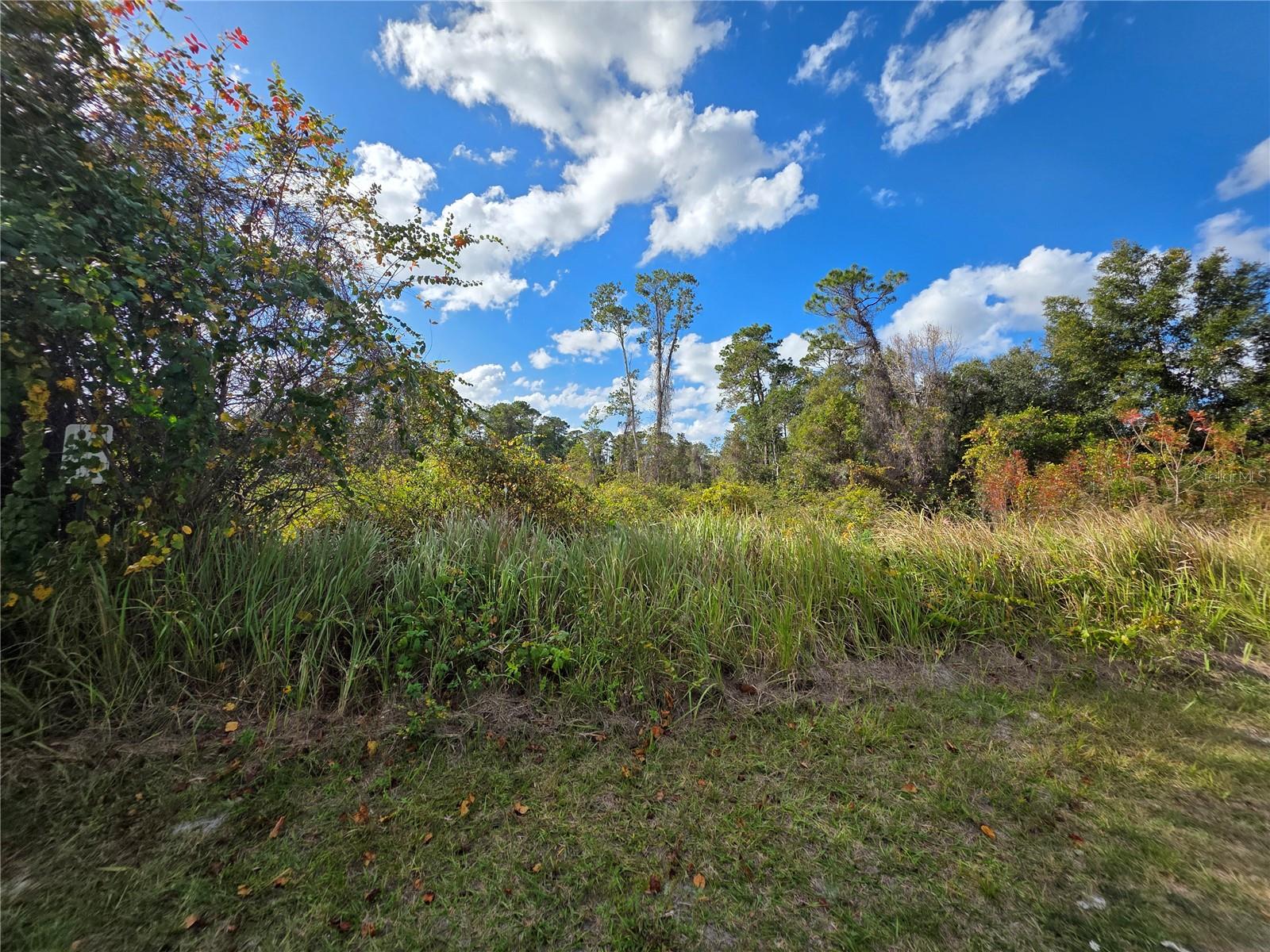 DELTONA LAKE UN 11 - Land