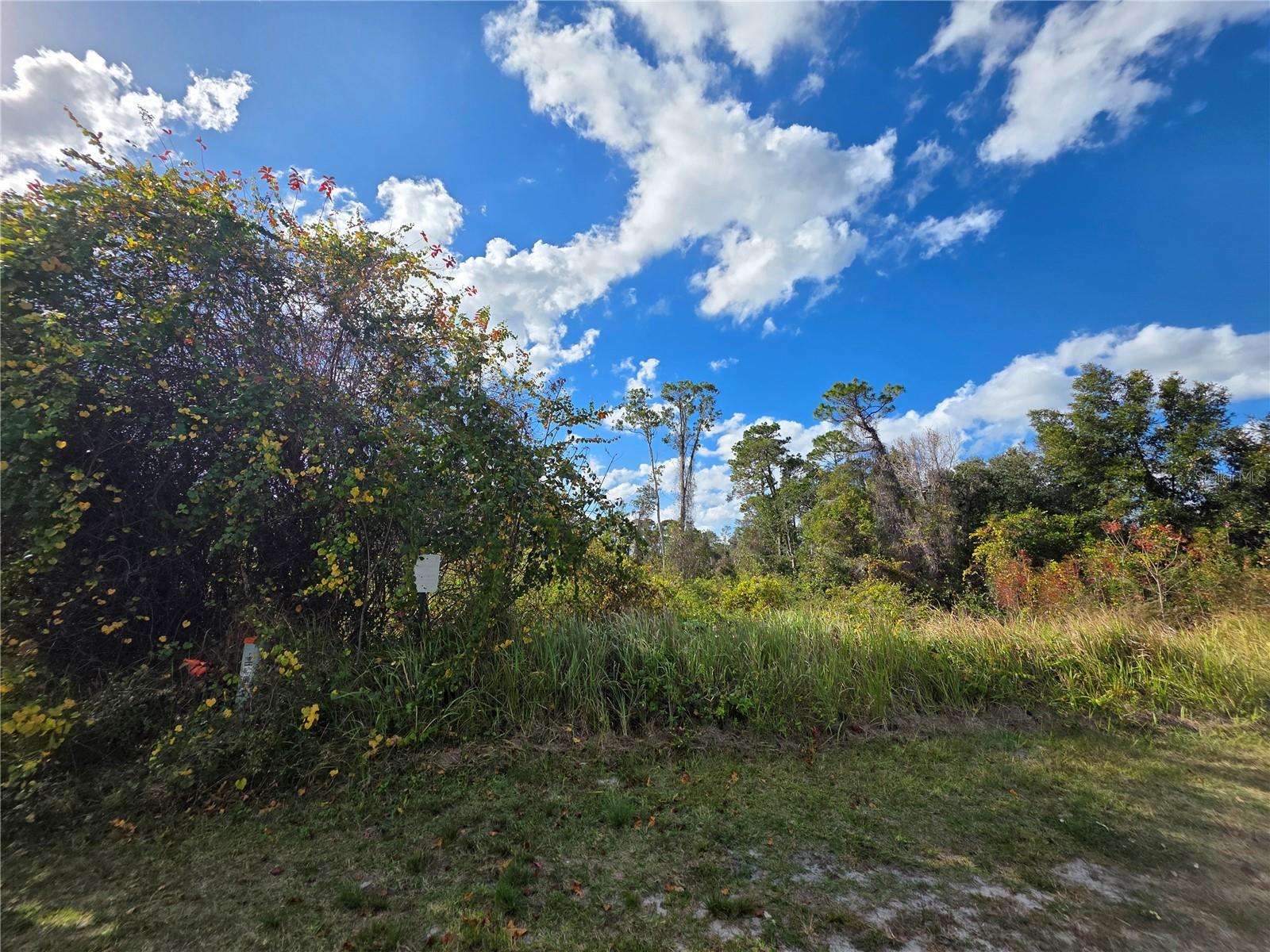 DELTONA LAKE UN 11 - Land