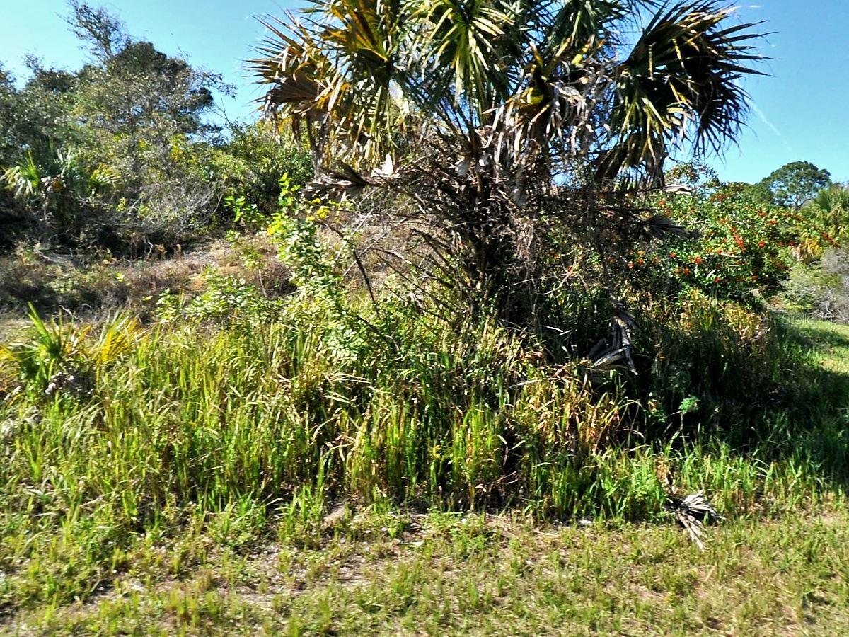 What a location on a freshwater canal that wraps around a good part of this oversized property strategically located just off of Price Blvd. between Salford and Chamberlain. From this spot you can quickly get to the many amenities that North Port has to offer. Whether you enjoy sports, a water park, the healing waters of mineral springs or just taking a short trip to area beaches. this should be a great purchase to consider.