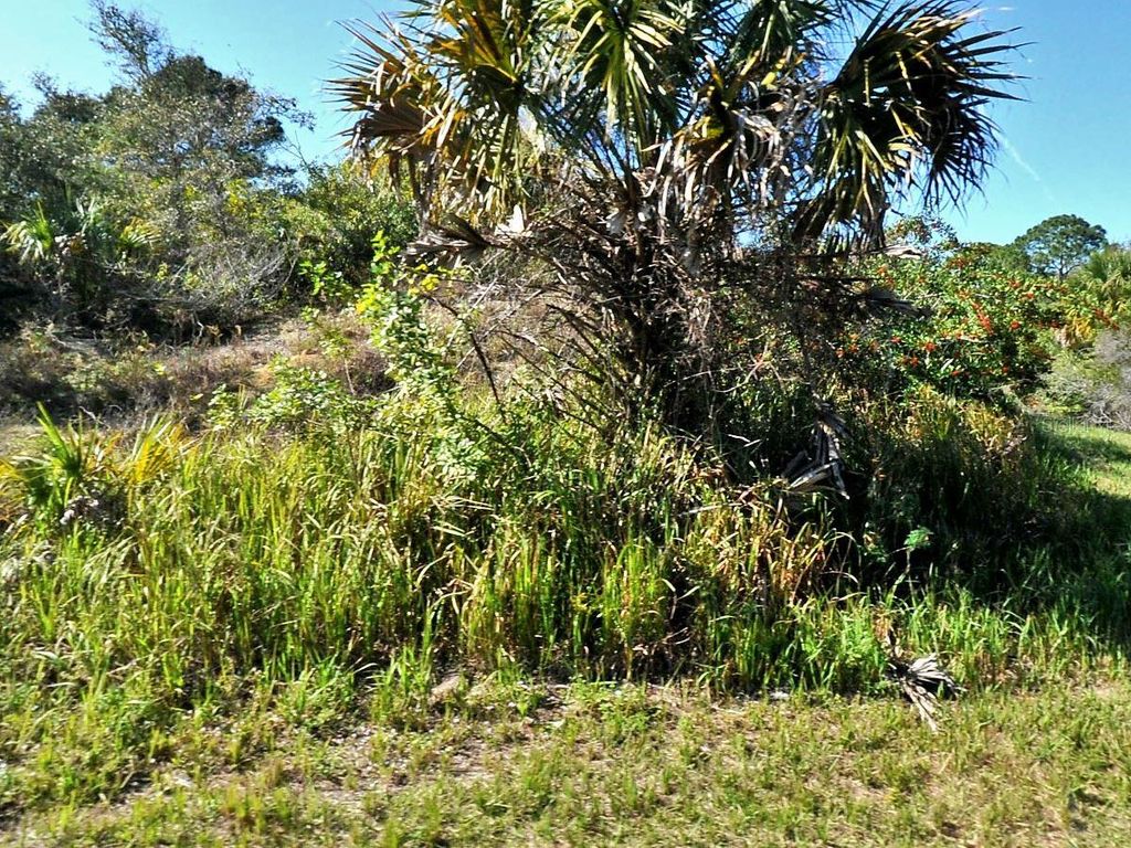 Photo of Patio Terrace, North Port, FL 34286 (MLS # C7516368)