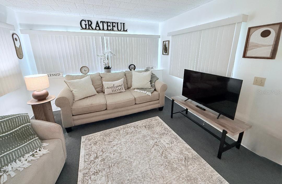 LAKE TARPON MOBILE HOME VILLAGE - Residential