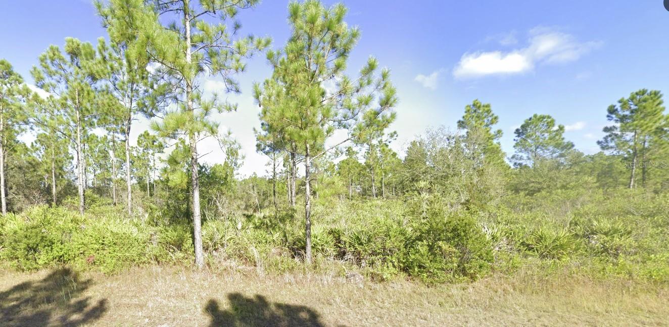 404 ALLAMANDA DRIVE