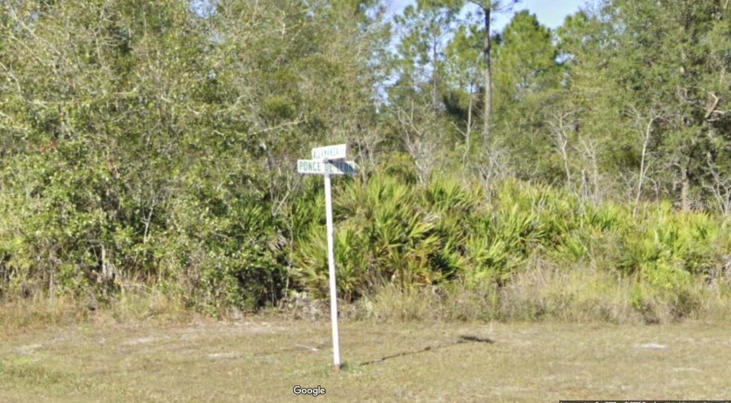 404 ALLAMANDA DRIVE