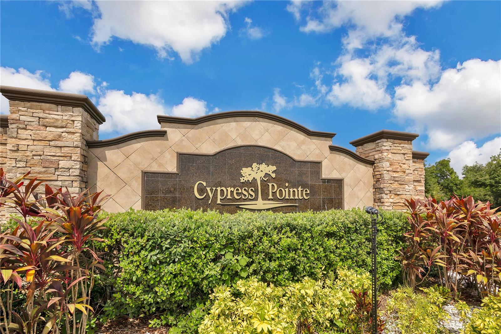 1037 CYPRESS POINTE BOULEVARD