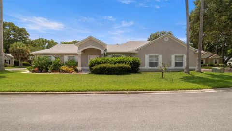 Photo of 705 Guava Drive, St. Augustine, FL 32095 (MLS # OM705009)