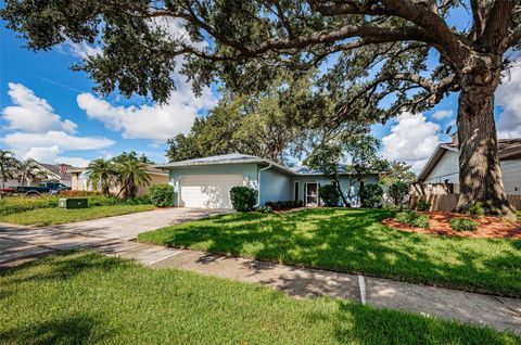 10822 64TH STREET N PINELLAS PARK FL 33782