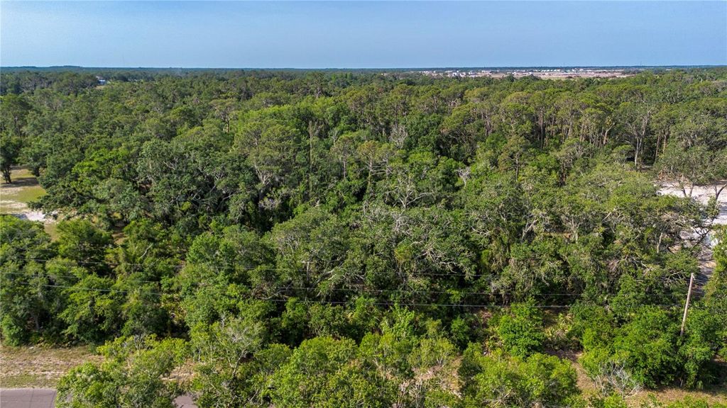 Photo of Butch Cassidy Trail, Wimauma, FL 33598 (MLS # TB8387306)