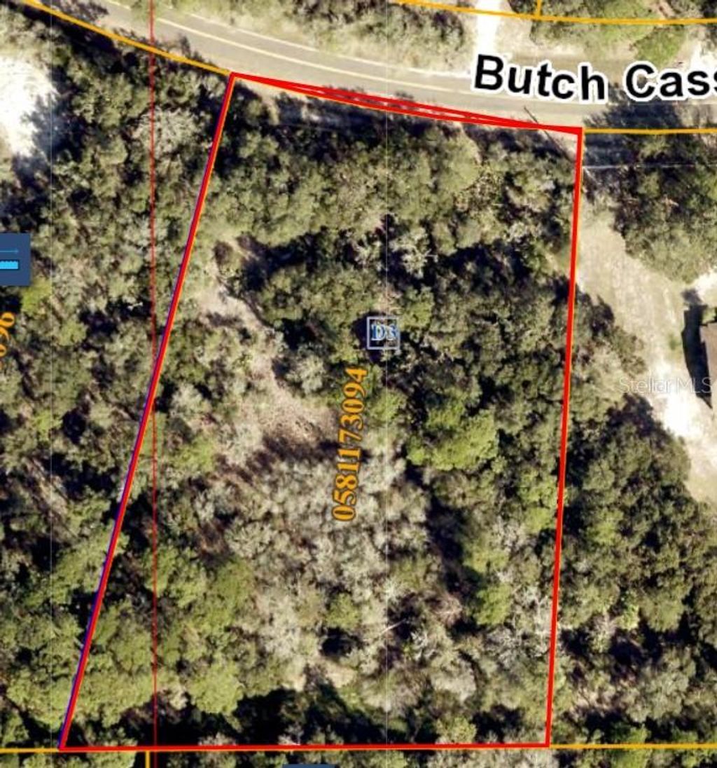 Photo of Butch Cassidy Trail, Wimauma, FL 33598 (MLS # TB8387306)