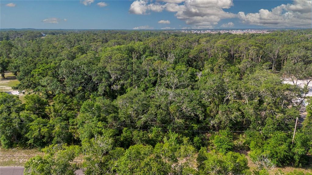 Photo of Butch Cassidy Trail, Wimauma, FL 33598 (MLS # TB8387306)