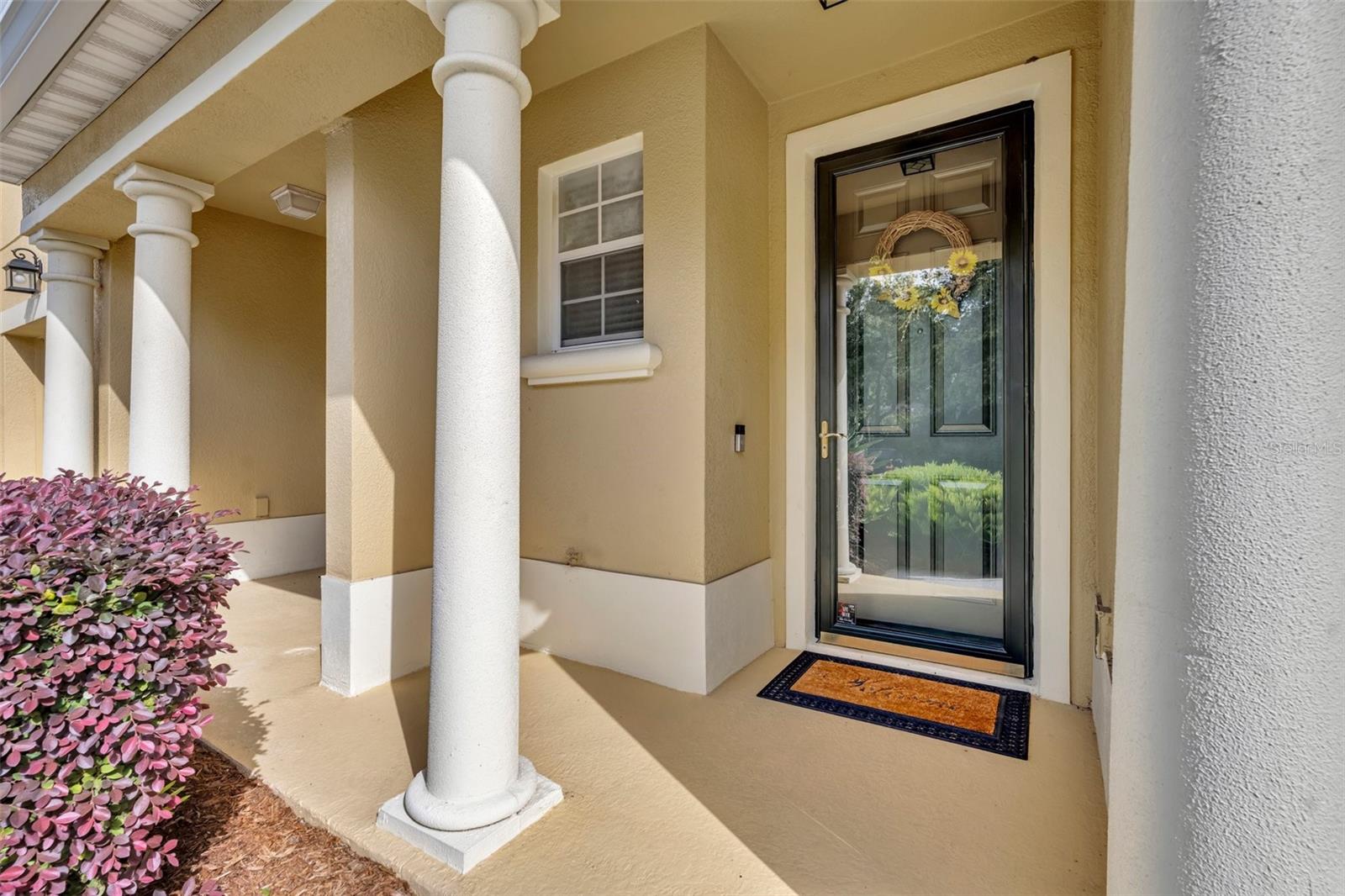 1534 BARKING DEER COVE