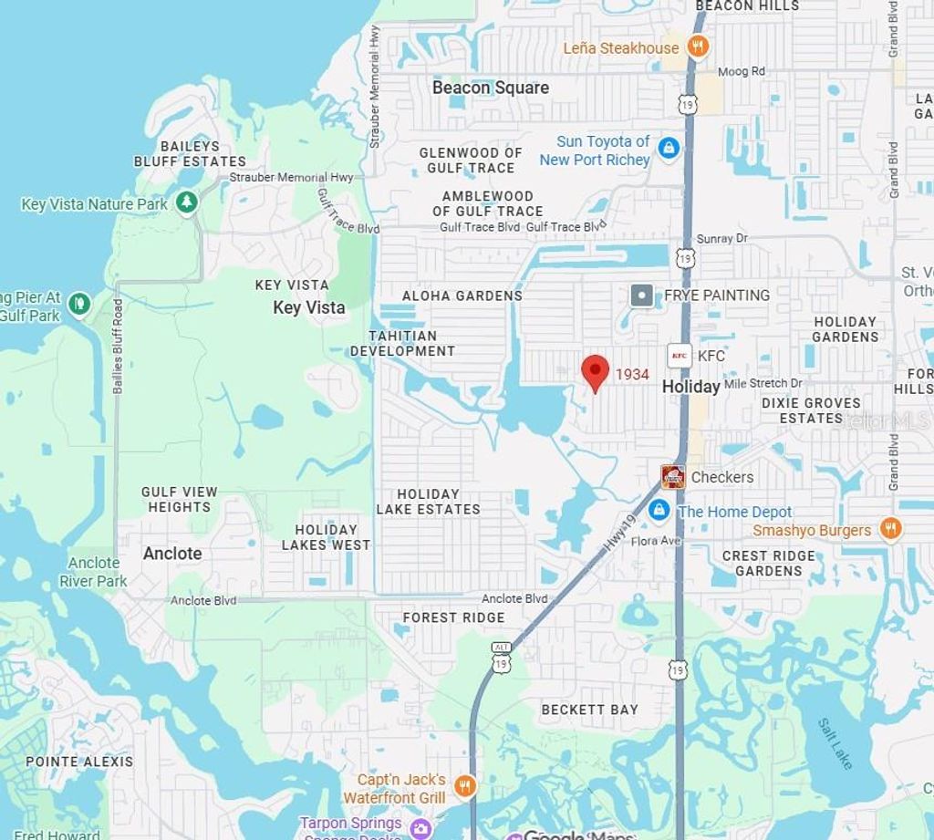 Photo of 1934 Speck Drive, Holiday, FL 34691 (MLS # TB8492047)