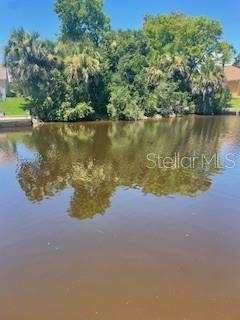 PALM COAST SEC 16 - Land