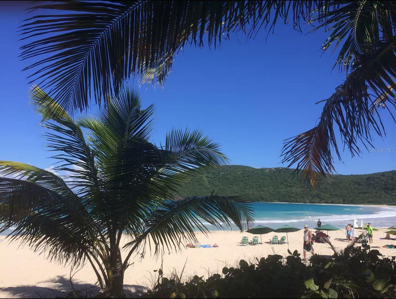 BARRIO FLAMENCO - Residential Income