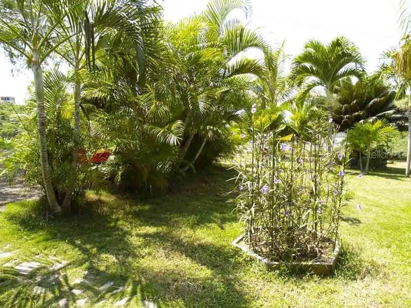 BARRIO FLAMENCO - Residential Income