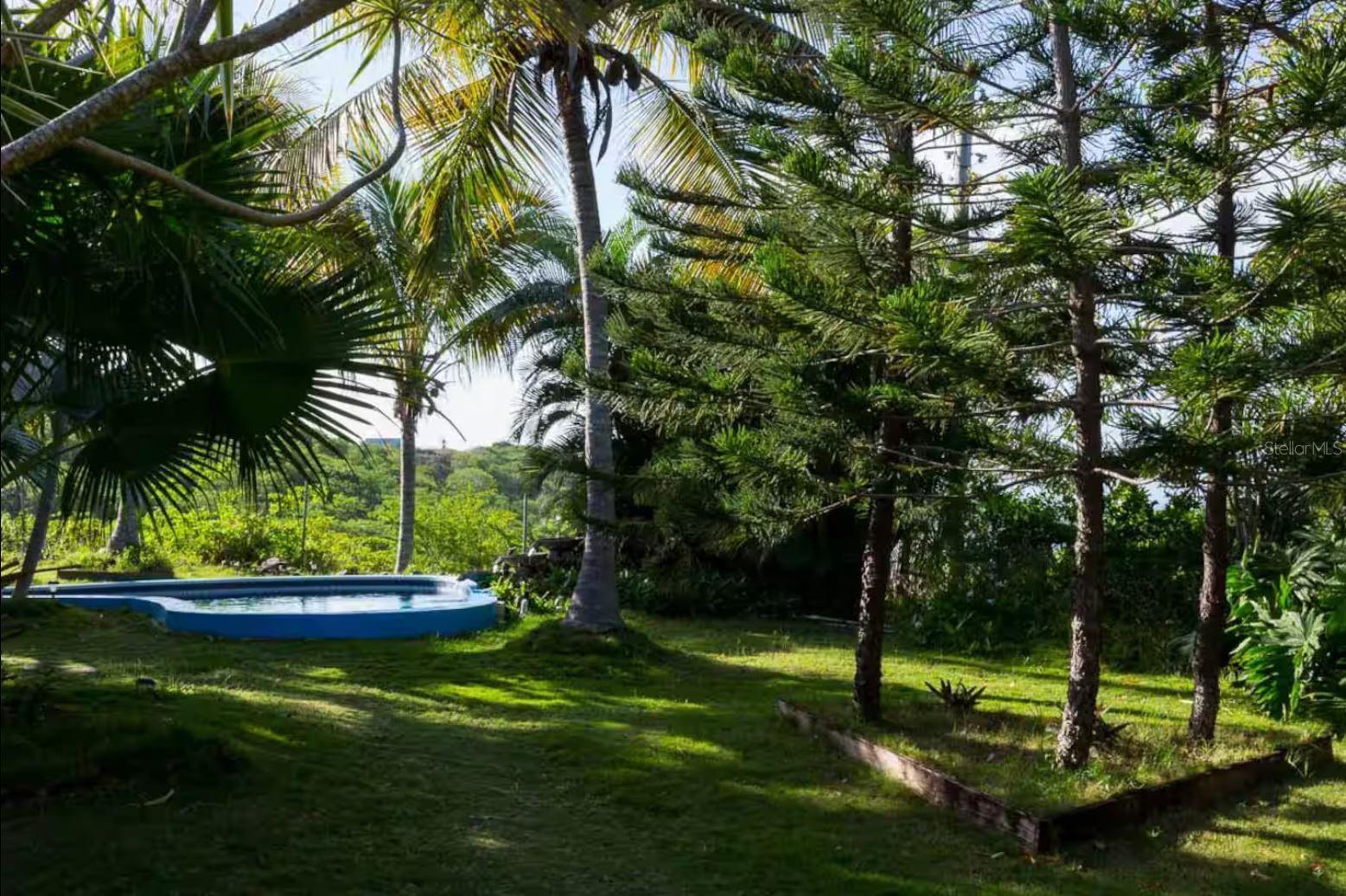 BARRIO FLAMENCO - Residential Income