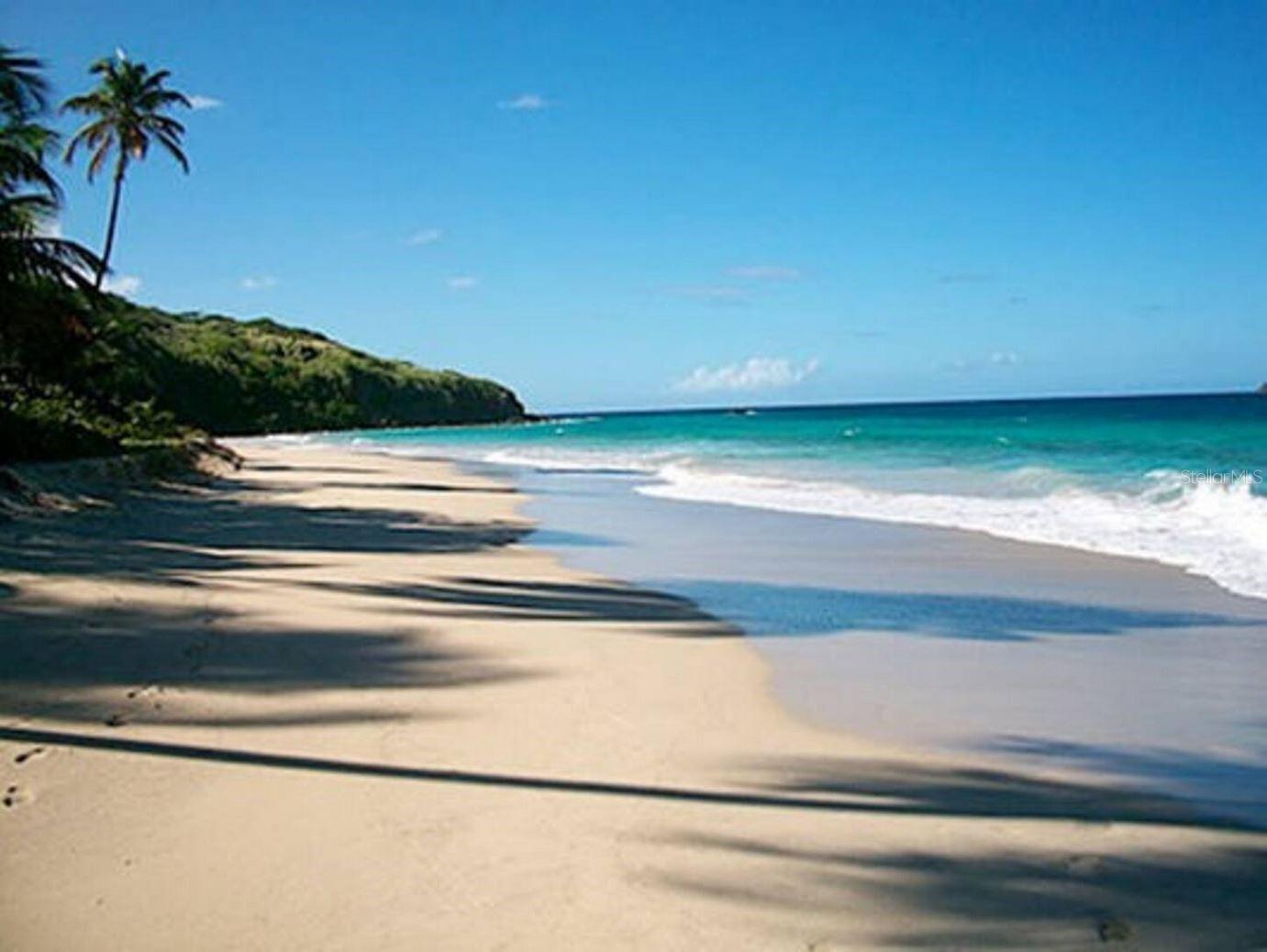 BARRIO FLAMENCO - Residential Income