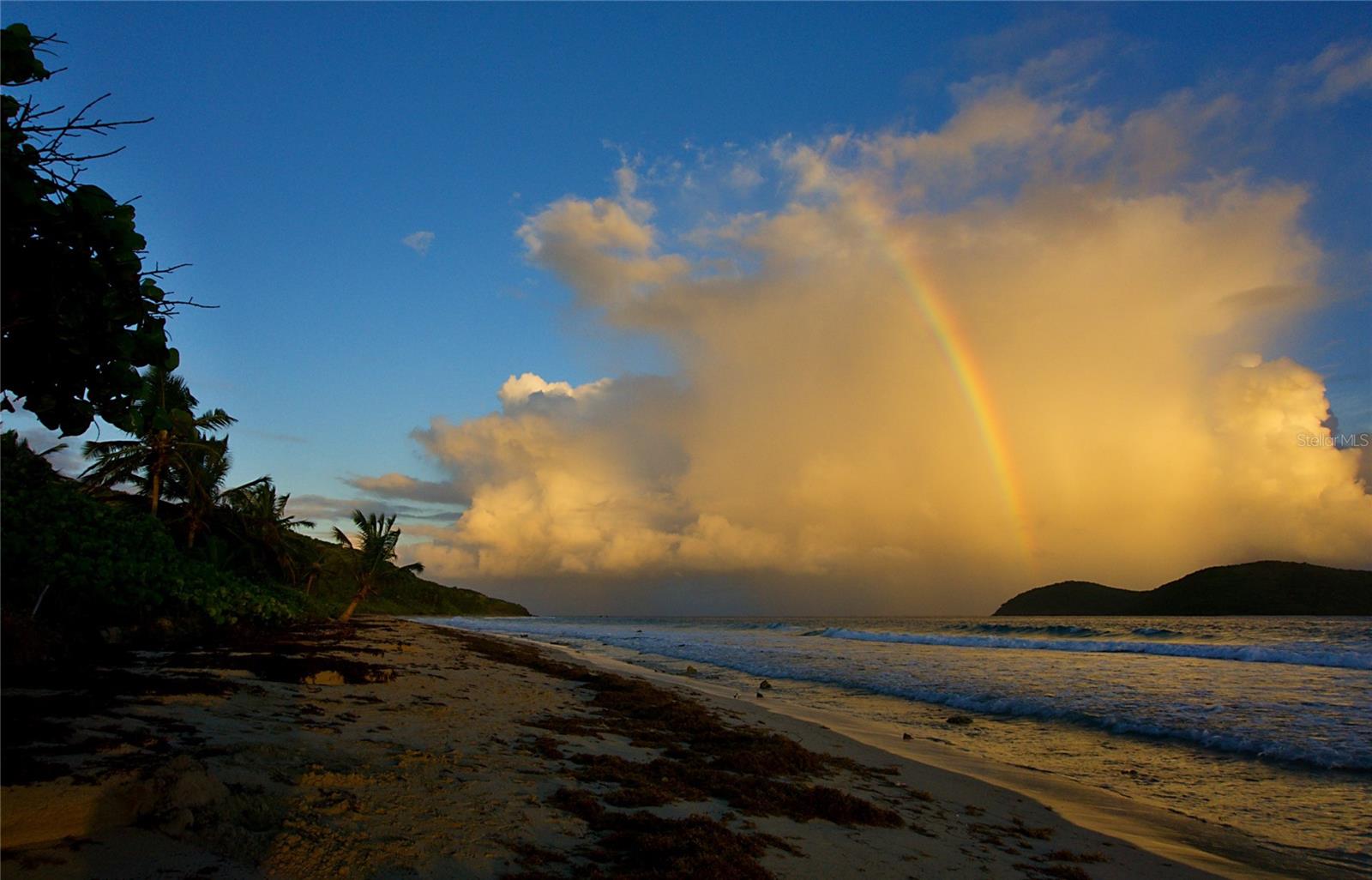 BARRIO FLAMENCO - Residential Income