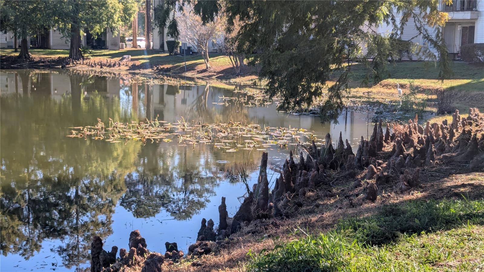 PLAZA/MILLENIUM - Residential