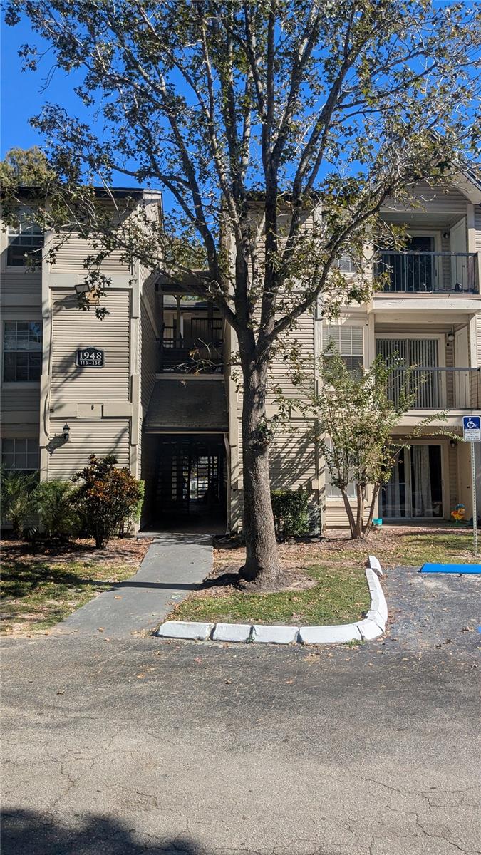 PLAZA/MILLENIUM - Residential