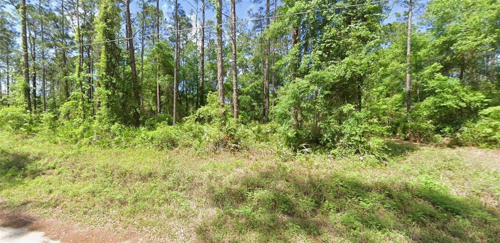 Photo of 0 NE 156 Place, Fort Mccoy, FL 32134 (MLS # W7886048)