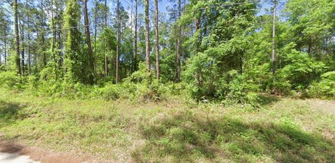 0 NE 156 PLACE FORT MC COY FL 32134
