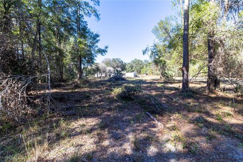 Tiny photo for 815 NE 145th Avenue Road, Silver Springs, FL 34488 (MLS # GC536226)