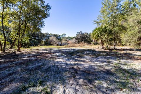 Tiny photo for 815 NE 145th Avenue Road, Silver Springs, FL 34488 (MLS # GC536226)