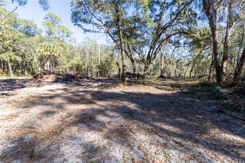 Tiny photo for 815 NE 145th Avenue Road, Silver Springs, FL 34488 (MLS # GC536226)
