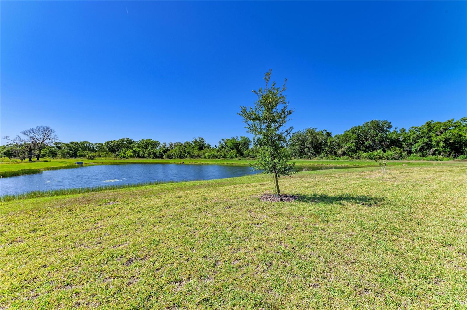 SOLERA AT LAKEWOOD RANCH PH II - Residential