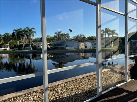 A home in ZEPHYRHILLS