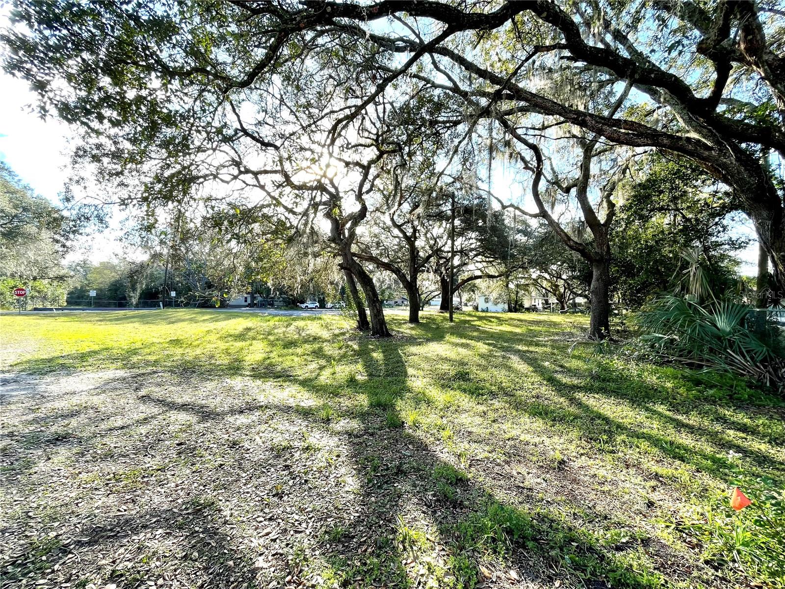 HAMNERS W E WONDERLAND ACRES - Land