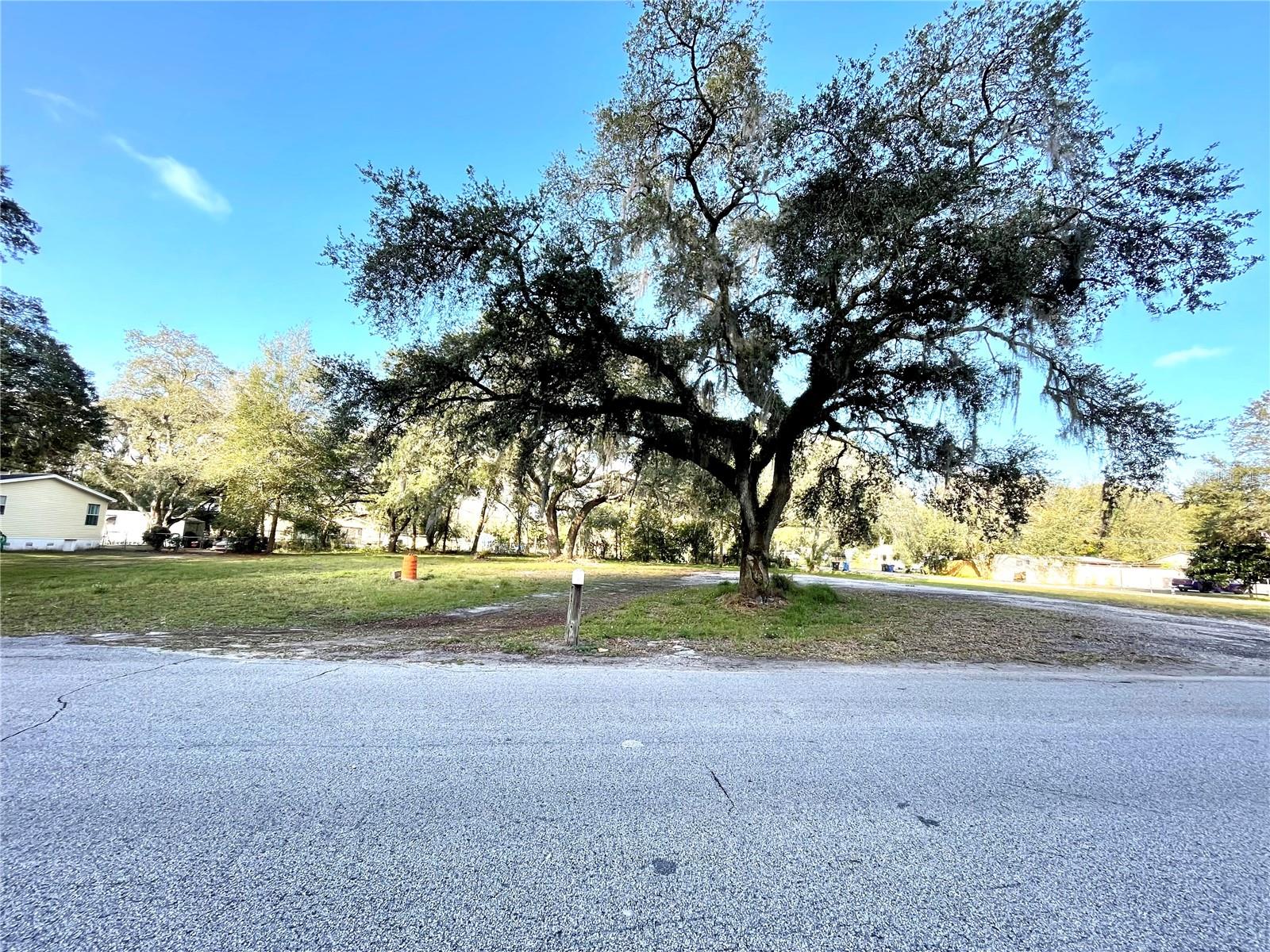 HAMNERS W E WONDERLAND ACRES - Land