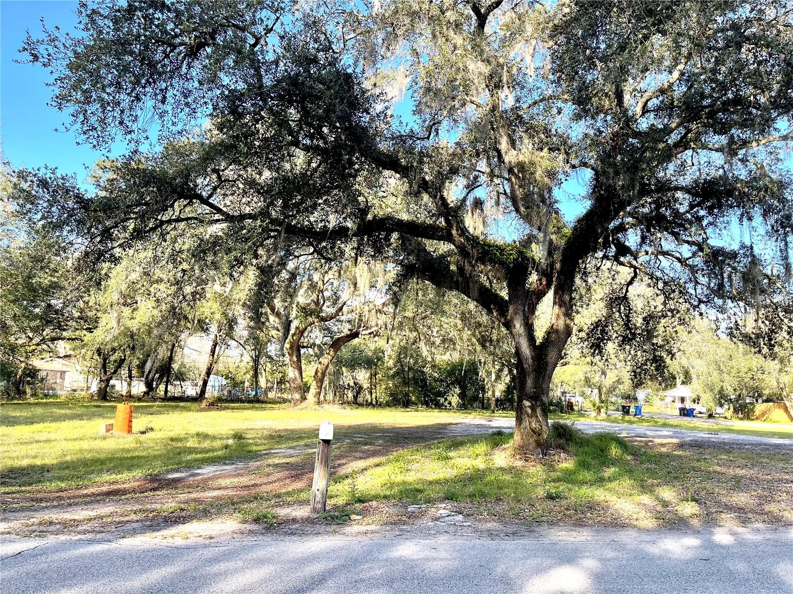 HAMNERS W E WONDERLAND ACRES - Land