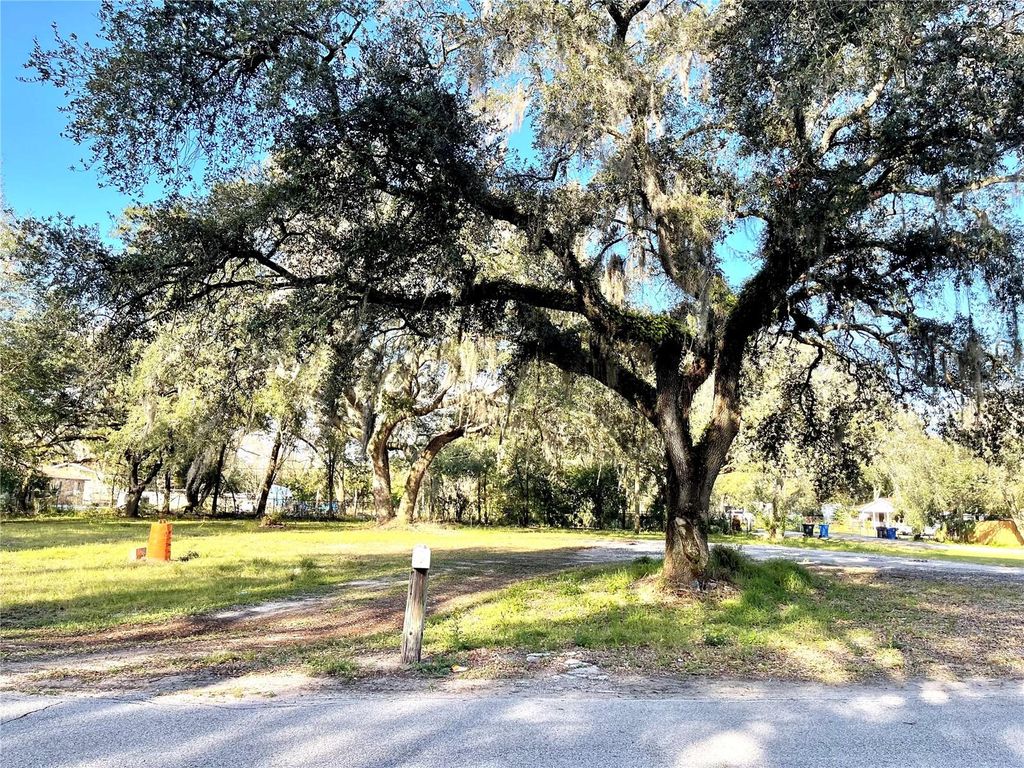 Photo of 14820 N 15th Street, Lutz, FL 33549 (MLS # T3425349)