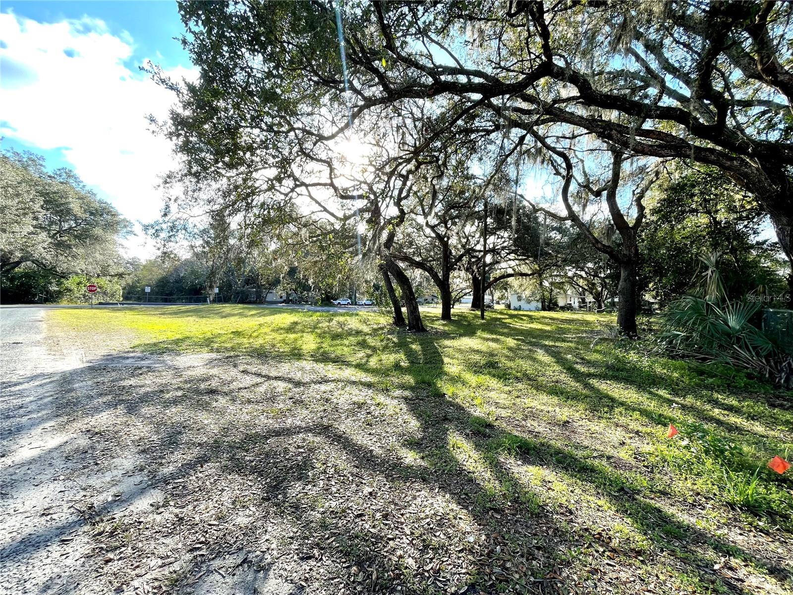 HAMNERS W E WONDERLAND ACRES - Land