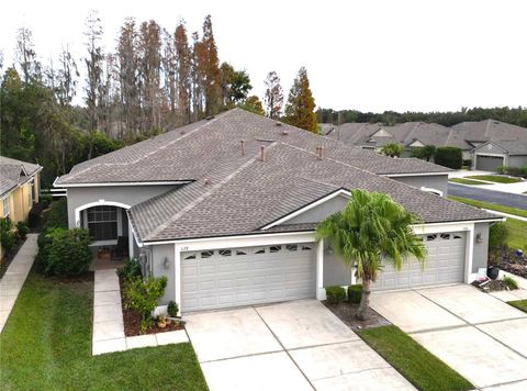 Photo of 1128 Bensbrooke Drive, Wesley Chapel, FL 33543 (MLS # TB8453964)