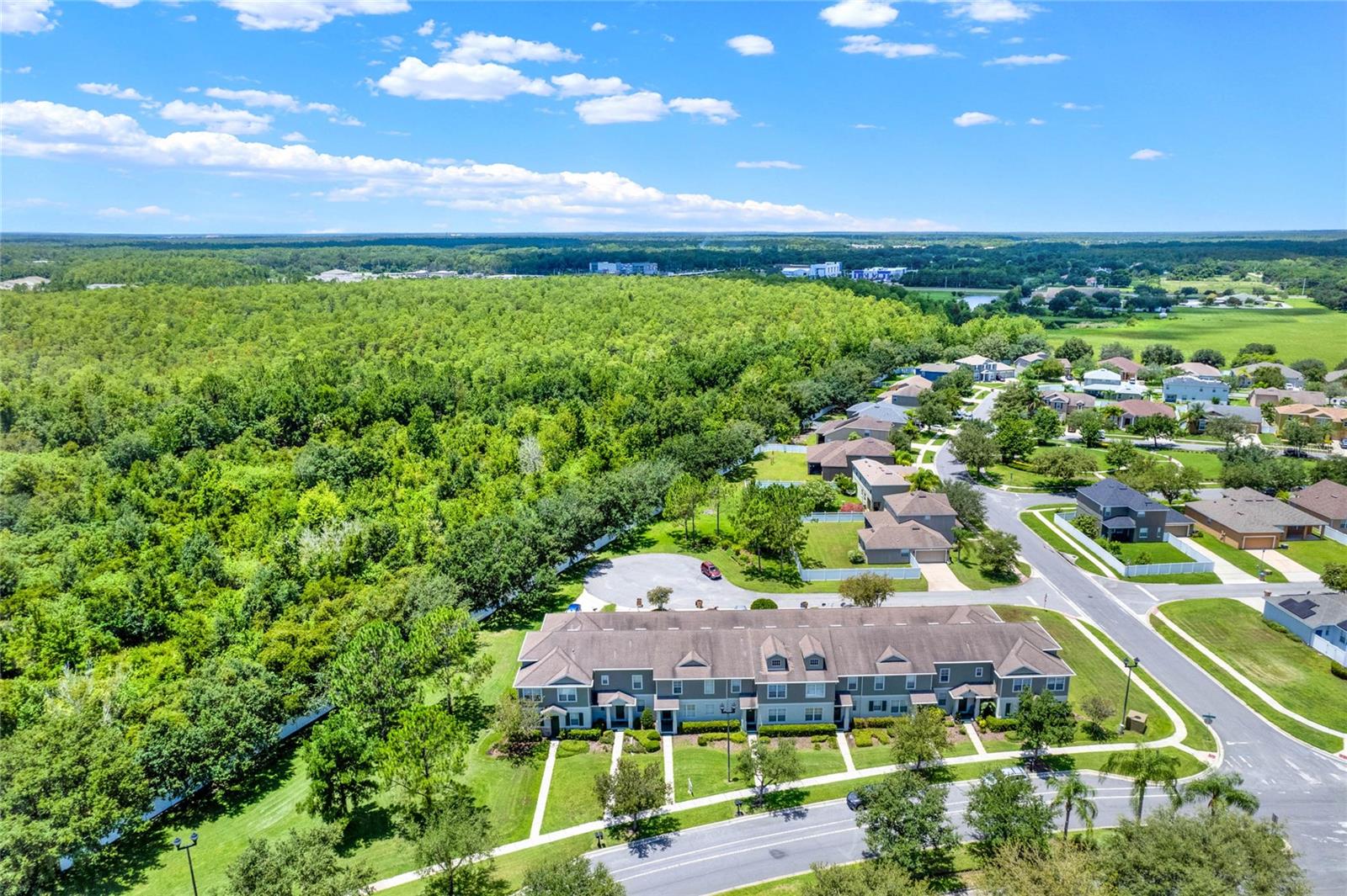 Photo 44 of 54 of 2804 GRASMERE VIEW PARKWAY townhome