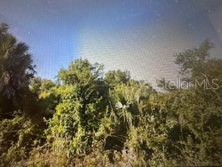 READY TO BUILD YOUR DREAM HOME? We're in the serene and rapidly growing community of Port Charlotte. This vacant lot is perfectly situated in a tranquil residential neighborhood, offering an exceptional opportunity to build your dream home or investment property. Located in a quiet area, this lot is just minutes away from local amenities including shopping, restaurants, schools, beaches, golfing, and the new Sunseeker.