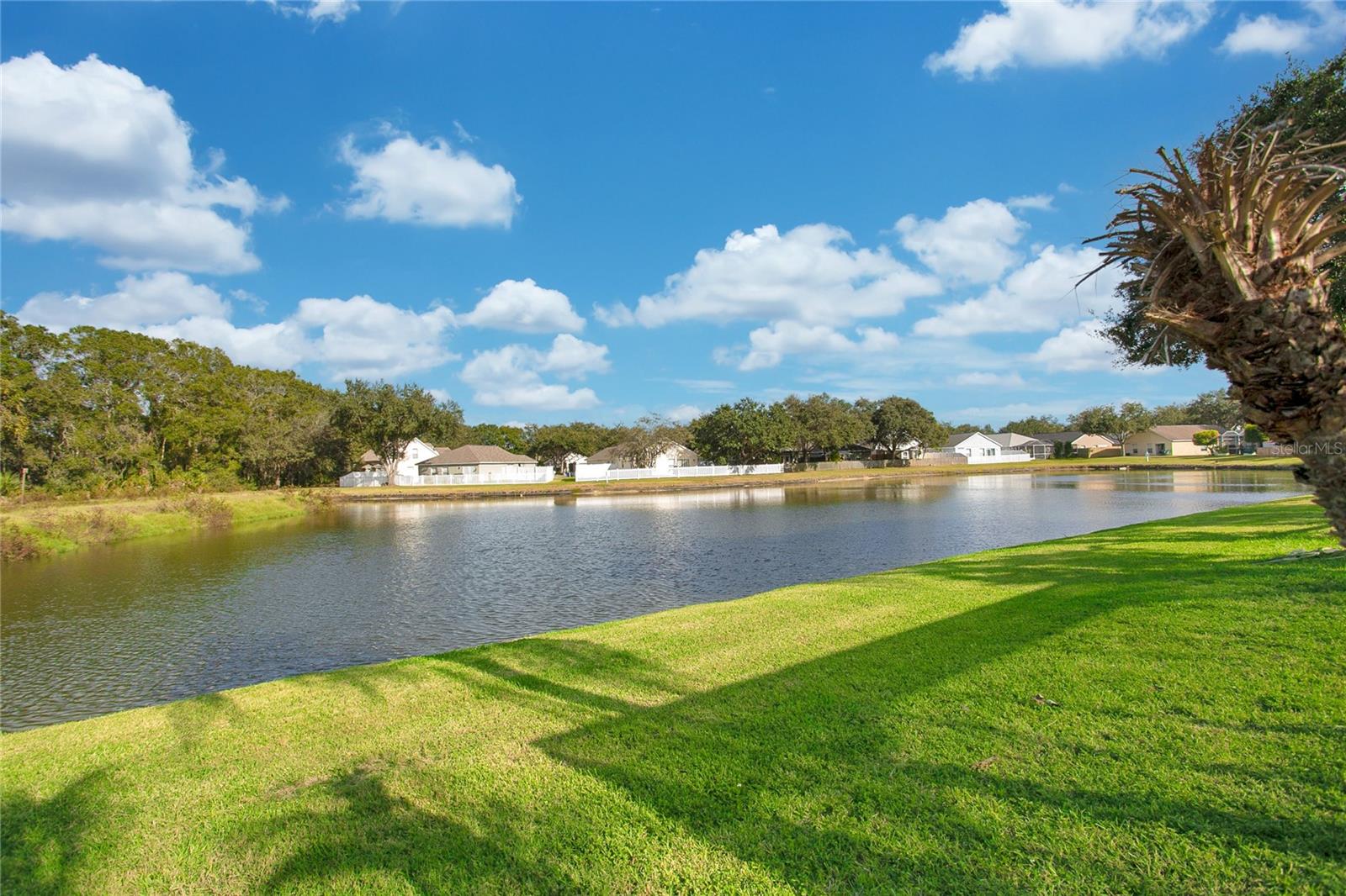 BLOOMINGDALE RIDGE - Residential