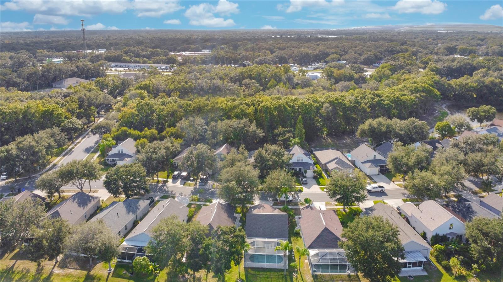 BLOOMINGDALE RIDGE - Residential