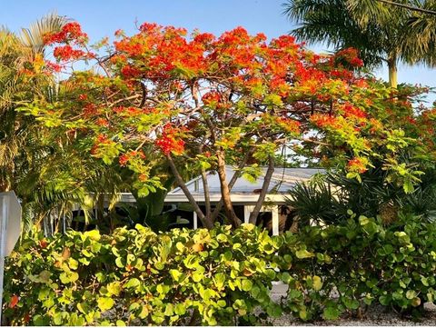 A home in REDINGTON BEACH