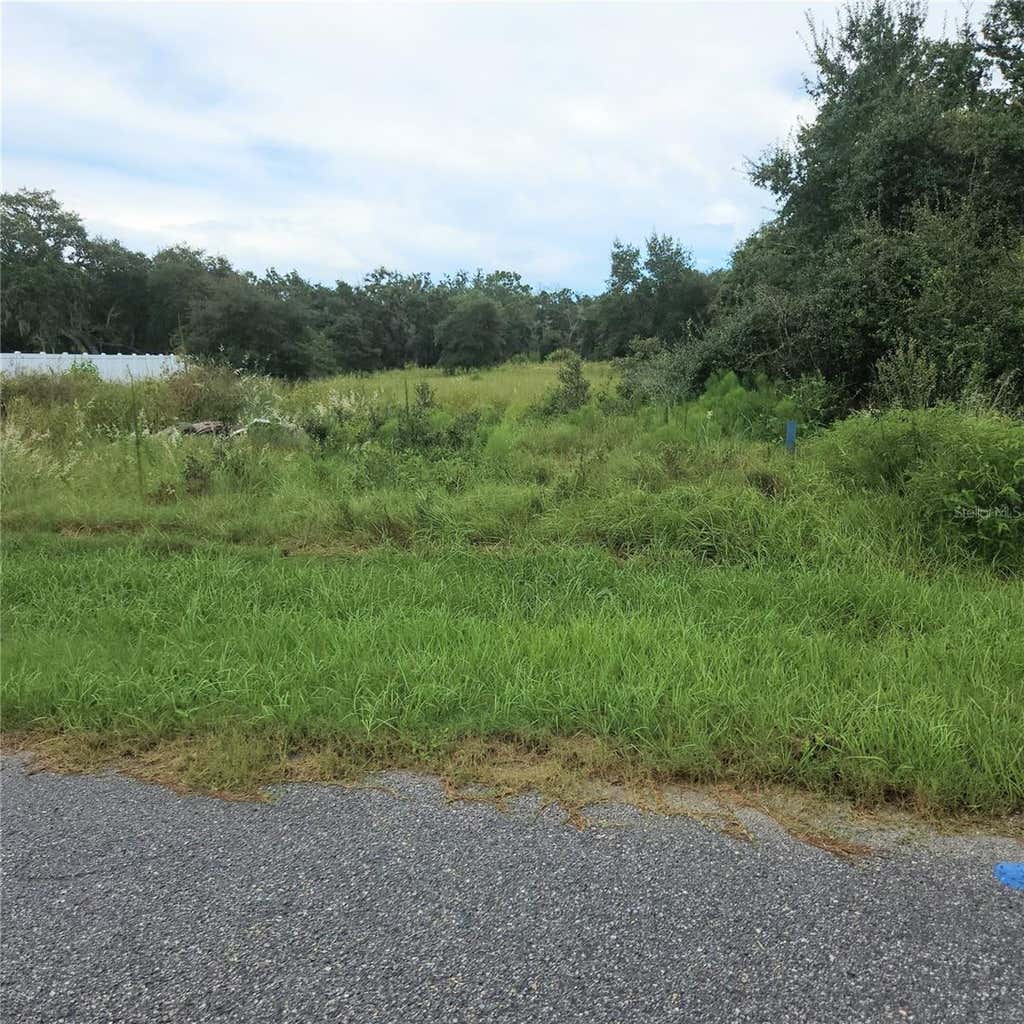 Photo of 1621 Pickerel Court, Poinciana, FL 34759 (MLS # O6433937)