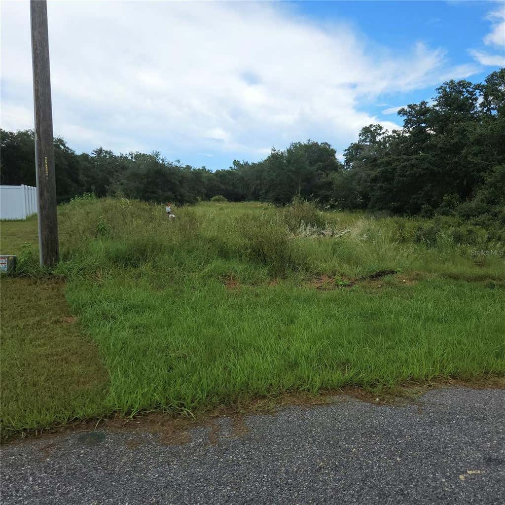 Photo of 1621 Pickerel Court, Poinciana, FL 34759 (MLS # O6433937)