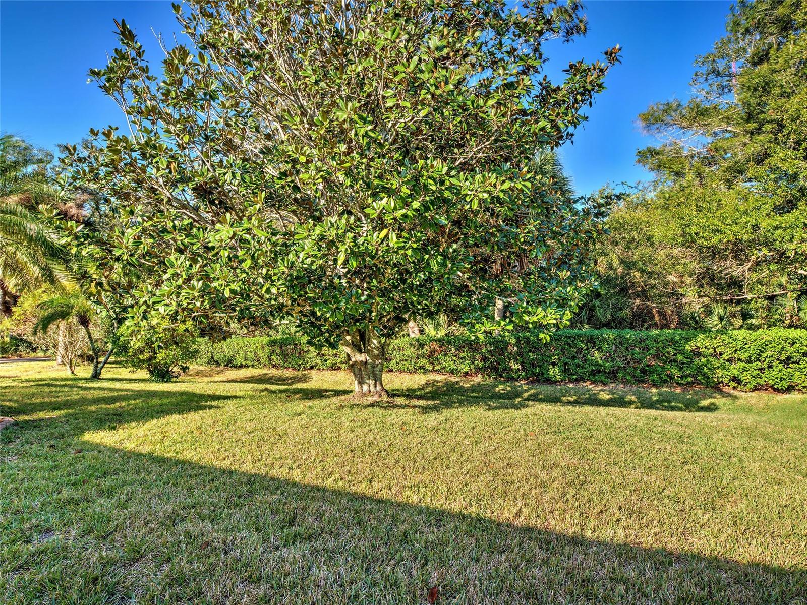 VENICE PALMS PH 1 - Residential