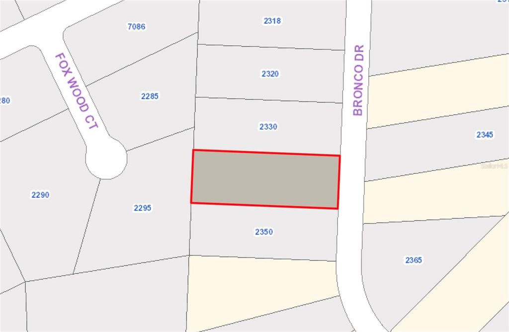 Photo of 2340 Bronco Drive, Saint Cloud, FL 34771 (MLS # S5143770)