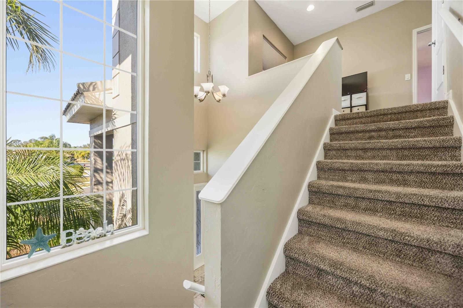 STONEYBROOK AT VENICE - Residential