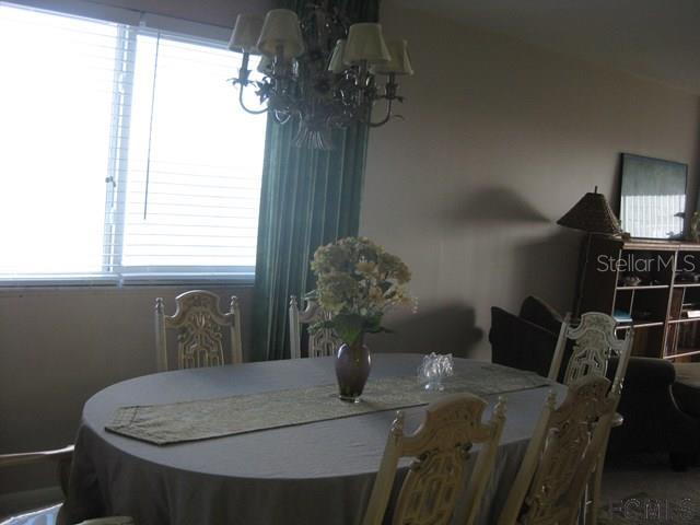 OCEAN BEACH - Residential Lease