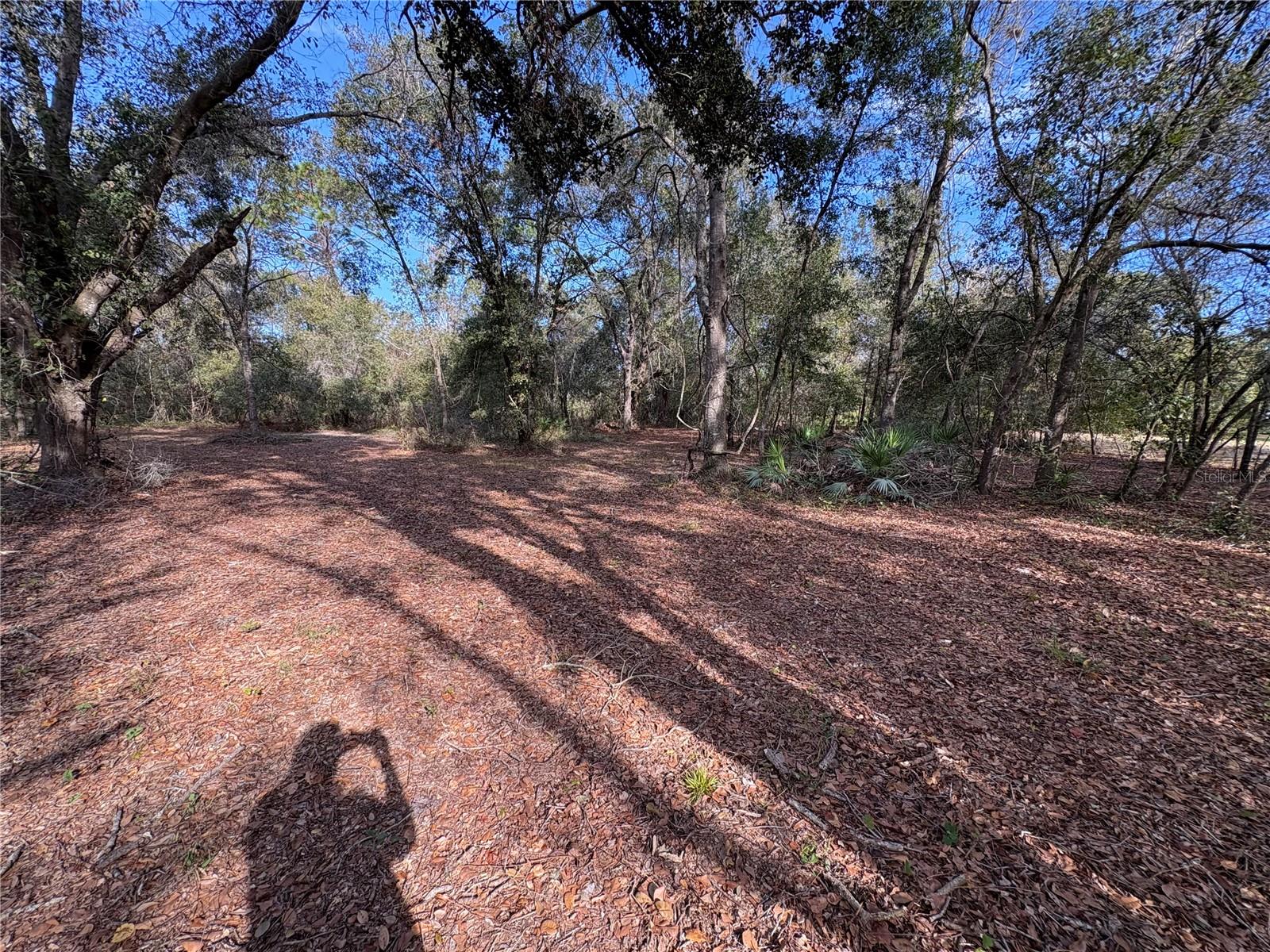 WOODS RANCHING & FARMING TRACTS - Residential