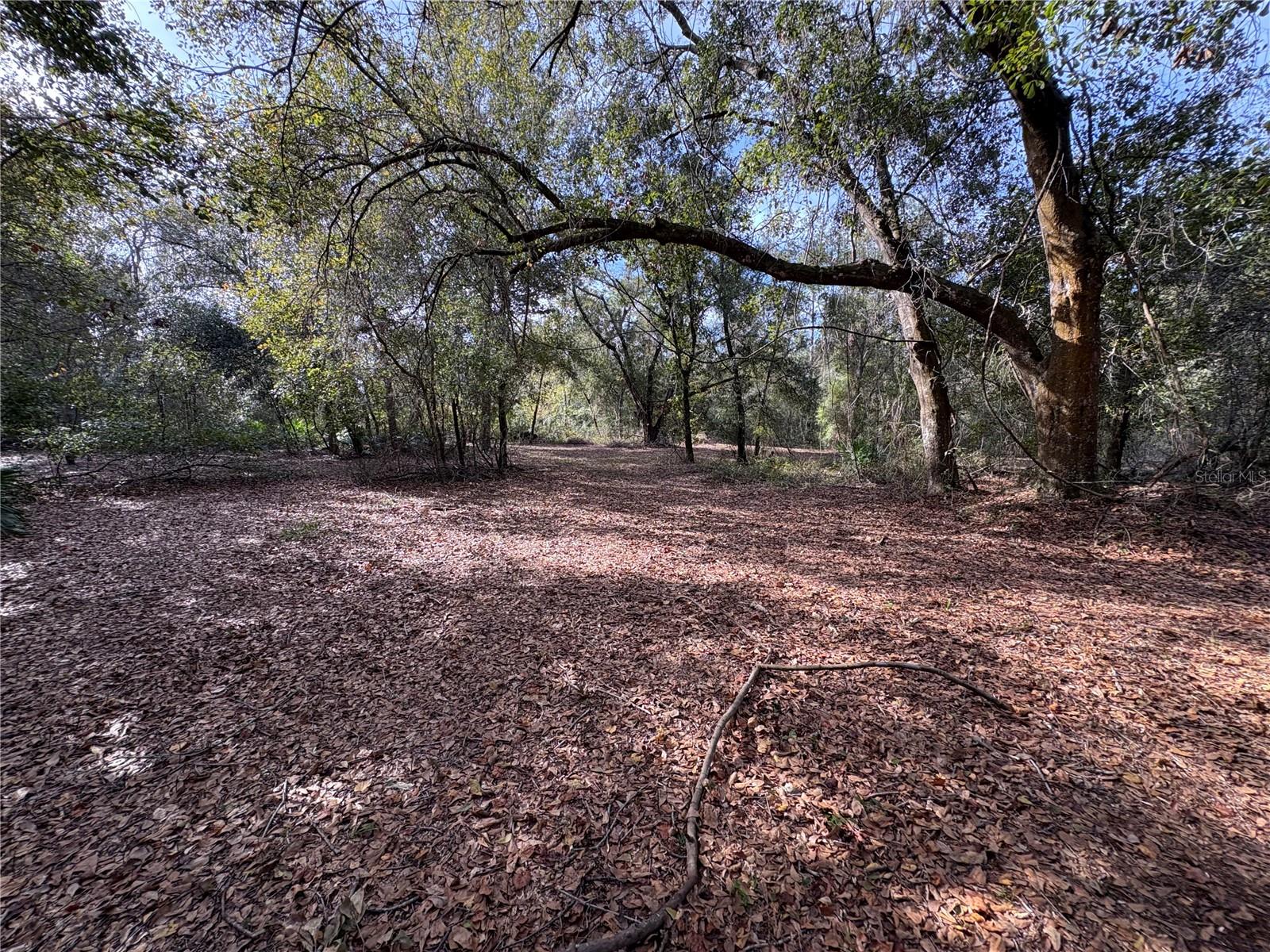 WOODS RANCHING & FARMING TRACTS - Residential